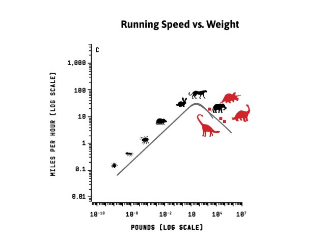 dino-size-graphs-edit-1.jpg