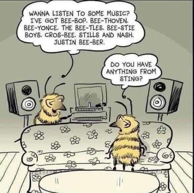 Bee Music.jpg