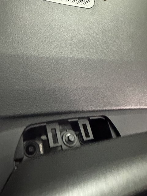 IMG_9459.jpeg