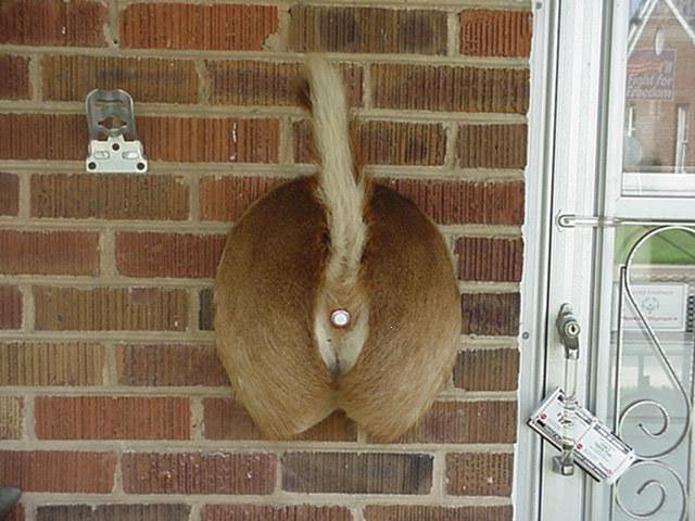 RedNeck Door Bell.jpg