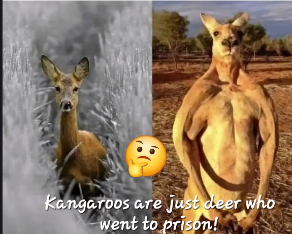 1717450330946.png