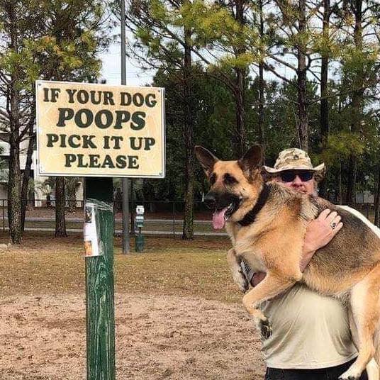 Dog Poop.jpg