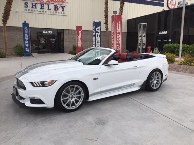 2016 Shelby Aug Pic.jpg
