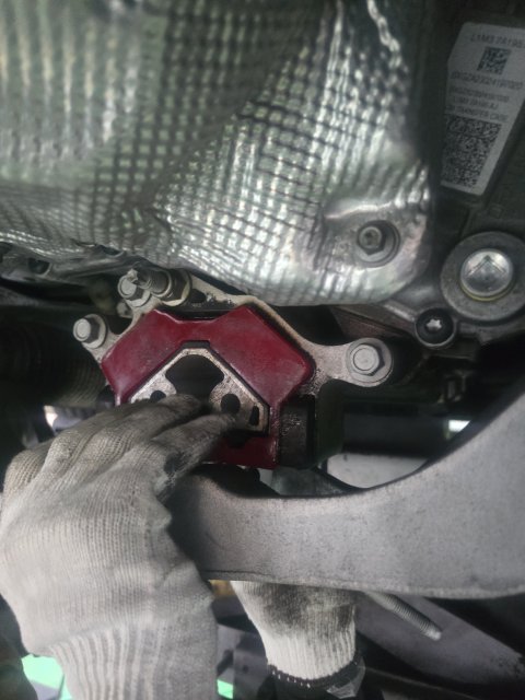 20250509_153921.jpg