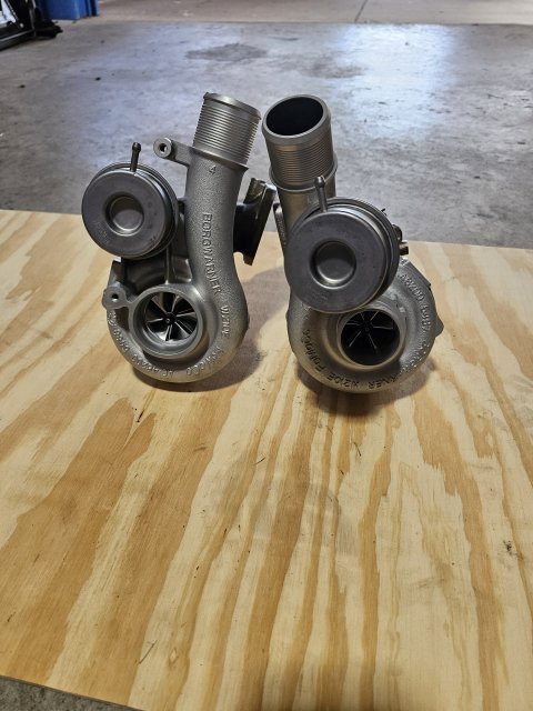 CRP5s.jpg