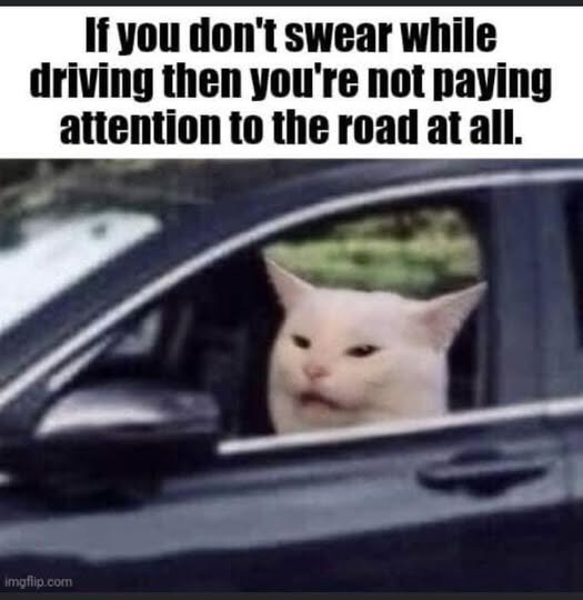1748133691091.jpeg