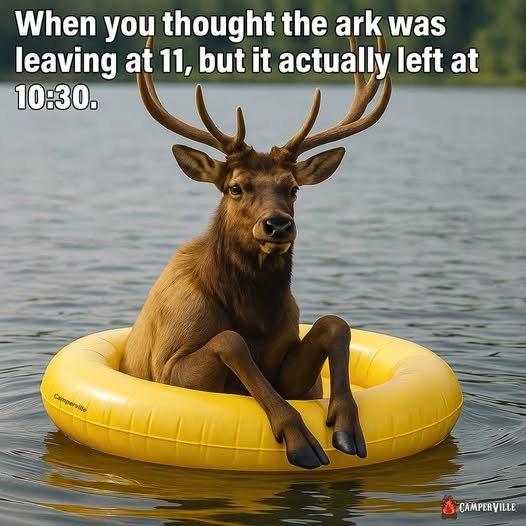 1750293177301.jpeg
