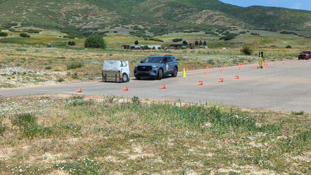 PXL_20250701_170240698.jpg