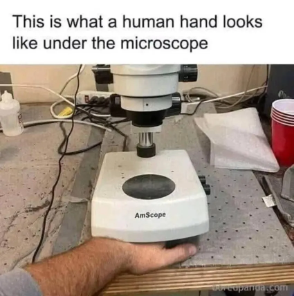 1753050352278.png