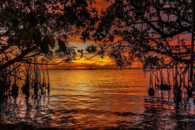 sunset_2_ffdc13da36b76ed6856fe1e58f20421a26e4e7fa.jpg