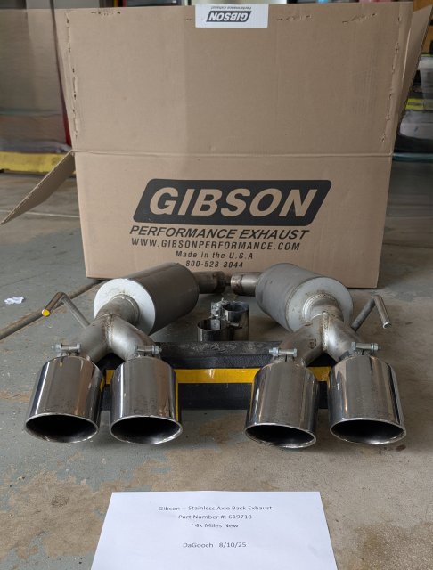 Gibson on ground1.jpg