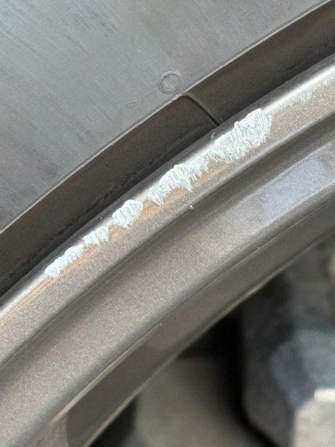 Curb Rash2.jpg