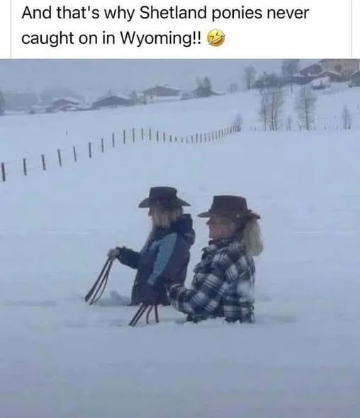 1761615451430.jpeg