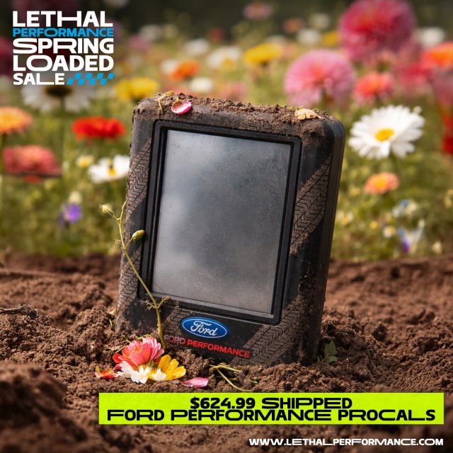 fp w: text procal spring sale.jpg