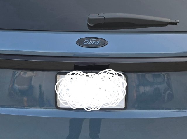 rear badge.jpg