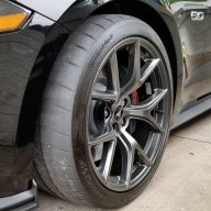 Squid678