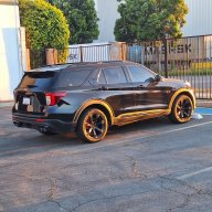 Black beast