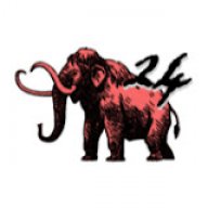 Mastodon24