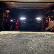 SlyyFoxx
